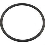 Pentair SMBW 4000 Filter Bottom Manifold O-Ring | O-64-9