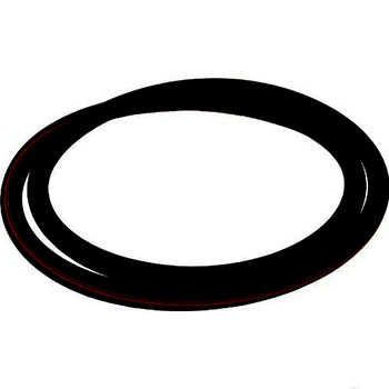 Pentair 2000 Series Pool Filter Tank O-Ring 