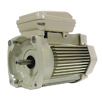 Pentair WhisperFlo WFK-8 TEFC Motor | 354809S