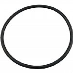 Hayward StarClear Plus Filter Head O-Ring | CX900F