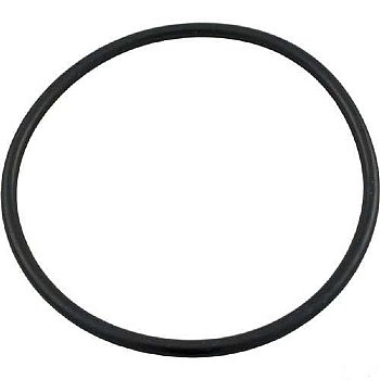 Hayward Micro-Clear SS Tank O-Ring 