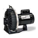 Pentair WaterFall Pumps, No Strainer