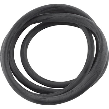 Pentair 4000 Series Tank O-Ring | 071439