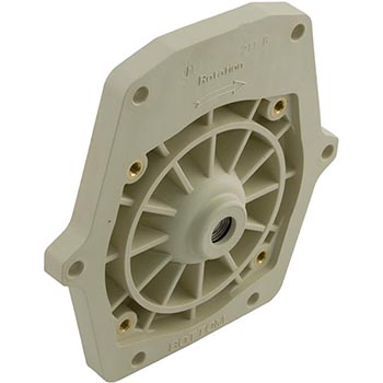 Pentair IntelliFlo Seal Plate | 350201