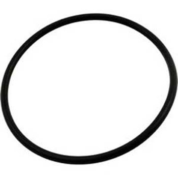 Pentair WhisperFlo Lid O-Ring | 350013