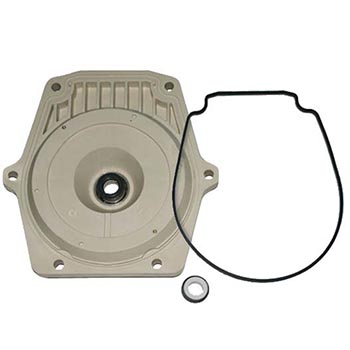 Pentair IntelliFlo Seal Plate Kit | 350202