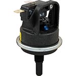 Raypak Water Pressure Switch | 006737F