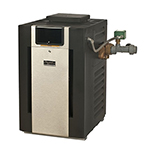 Raypak Professional Series  ASME Brass Digital Heaters