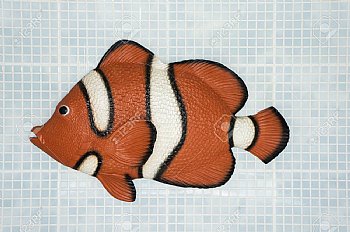 NPT CFLORALS 5 Inch x 8 Inch Clown Fish Ceramic Pool Tile Orange | CFLORALS