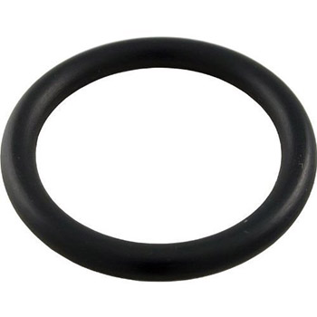 Pentair Push Pull ABS Valve Stem O-Ring | 51005000