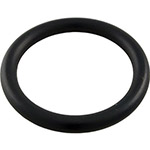 Pentair 2 Inch PVC Valve Stem O-Ring | 273090