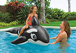 Intex Giant Whale Ride On | 58561EP