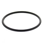 Jandy PLC Tailpiece Generic O-Ring | 0-244-9