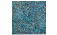 NPT OCEANS-MARINE Oceans Collection Marine Tile; 6" x 6"
