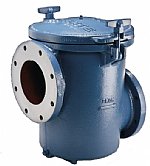 Sta-Rite CCSP Series Commercial Pool Pump Strainer, Blue Epoxy | PKG-184C