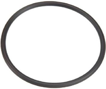 Sta-Rite System:3 Pool Filter Bulkhead Union O-ring | 35505-1425Z