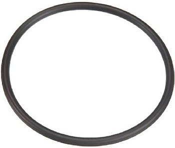 Sta-Rite System:3 Pool Filter Bulkhead Union O-ring | 0-283-9