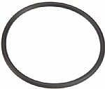 Sta-Rite System:3 Pool Filter Bulkhead Union O-ring | 0-283-9