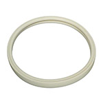 Pentair AmerLite Pool Light Gasket | 79101600Z