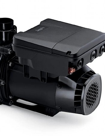 Jandy FloPro 3.8HP VS Motor w/Pump Drive 