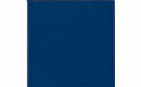 NPT Solids Navy Blue 6 Inch x 6 Inch