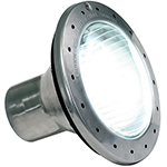 Jandy White Pool and Spa Light 100' | WPHV500WP100