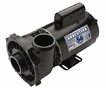 Waterway Executive 2HP 2-Speed Spa Pump | 3720821-13