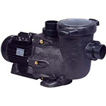 Hayward Tristar Pool Pump Parts