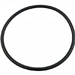 Hayward Micro-Clear SS Tank O-Ring 