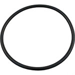 Hayward Pro-Grid Outlet Elbow Generic O-Ring | 0-24-9