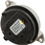 Hayward H-Series Blower Vacuum Switch| FDXLBVS1930