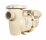 Pentair IntelliFlo3 Variable Speed and Flo Pool Pump | 011076