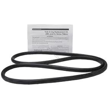 Jandy DEV Pool Filter Tank Body O-Ring | R0357800