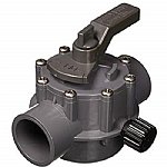 Jandy 2-Port 2 Inch Gray Valve | 2876