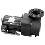 Pentair EQ Series 5HP TEFC Pump With Out Strainer 230/460V | 340608