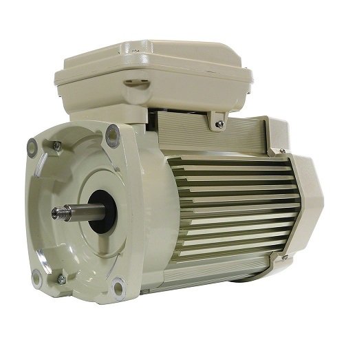 Pentair WhisperFlo WFE, TEFC Replacement Motors 