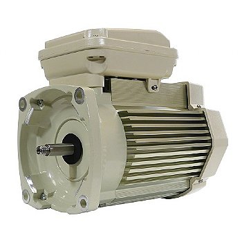 Pentair WhisperFlo TEFC 1.1THP Pool Pump Motor  | 356363S