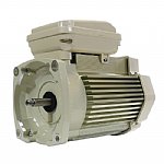 Pentair WhisperFlo TEFC 1.1THP Pool Pump Motor  | 356363S