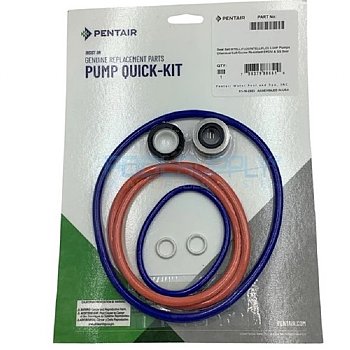 Pentair IntelliFlo3 Pool Pump Seal Kit 
