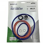 Pentair IntelliFlo3 Pool Pump Seal Kit 