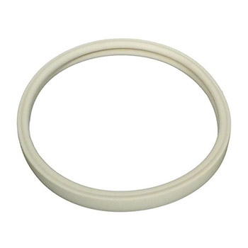 Pentair IntelliBrite Light Gasket | 79108600