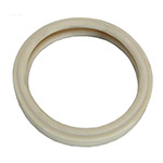 Pentair SpaBrite Lens Gasket | 79108500