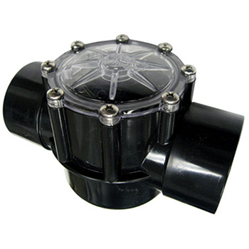 Pentair Check Valve 2-2.5" | 263042