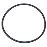 Pentair Clean & Clear Filter Tank Body O-Ring - 87300400