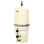 Pentair EC-180009 FNS Plus 60 DE Pool Filter | FNSP60