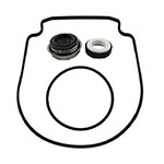 Pentair IntelliFlo Pump Seal Kit | TC-357100-KIT