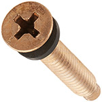 Pentair AmerLite Fixture Screw | 79104800