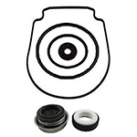 Pentair IntelliFlo Pump Seal Plus Kit | TC-357100-071734-P