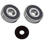 Pentair WhisperFlo Pool Pump Motor Bearing Kit 