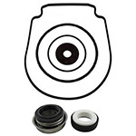 Pentair IntelliFlo Pool Pump Seal Kit-Salt Water | 071734-Kit-S